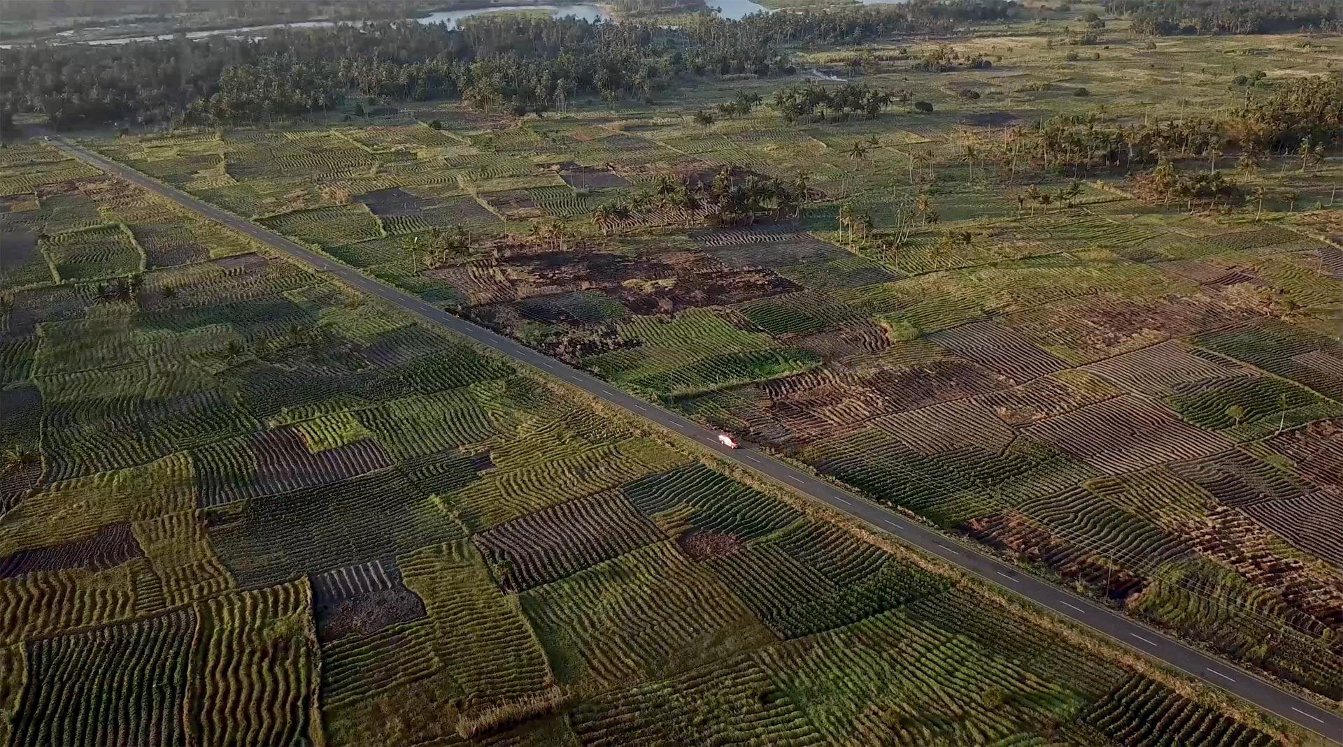 Aerial view of a rural landscape in Mozambique, highlighting a road dividing fields with varied shades of green and brown. A single car travels along one of the delivery routes, while trees stand in the background.