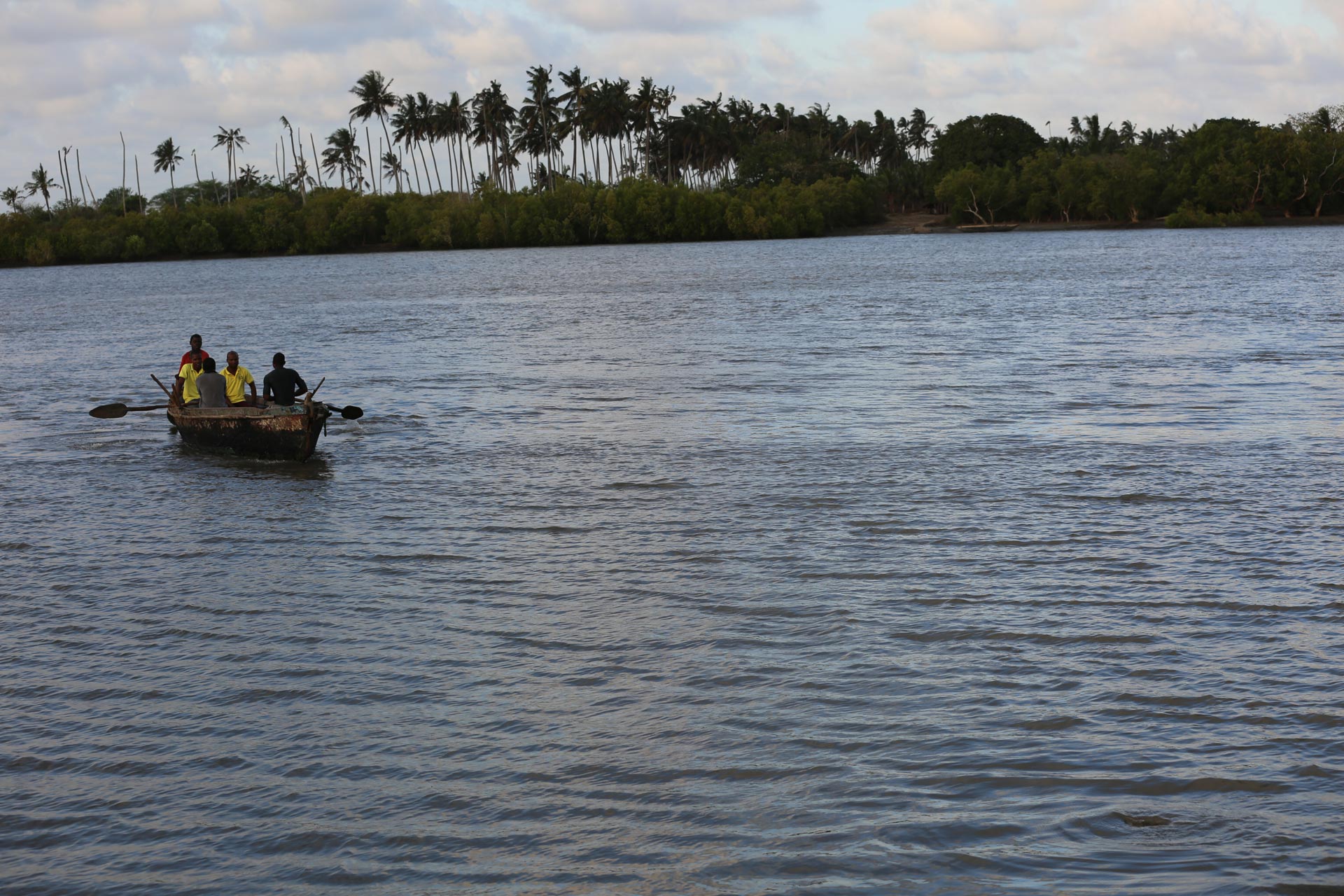 A small group of people rowing a boat on a wide Mozambican river, with a tree-lined shore and swaying palm trees in the background, navigating through tough terrain to deliver life-saving medicines.
